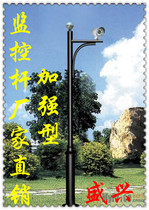 Strengthen the monitoring Pole 2 5 meters 3 meters 3 5 meters 4 meters 5 meters 6 meters Bolt machine pole ball machine pole stainless steel monitoring