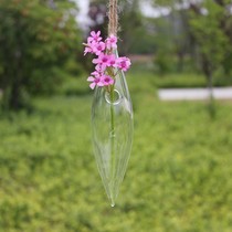 Transparent glass vase with double pointed olive vases home ornament pendant