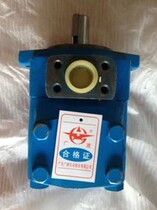 High pressure vane pump hydraulic pump YB-E40 YB-E50 YB-E63 YB-E63 Guangdong wide liquid card