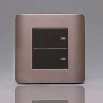 Schneider light point series two-open panel double single control switch E8432 1 SZ style Brown