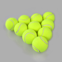 9 9 yuan for 2 beginner unmarked training tennis pets tennis cat dog toy ball table foot cushion