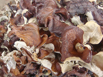 () Guangxi 100000 mountain Deep Mountain Wild Premium Blood Agaric Red Ears 500g