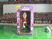 Prostars Xl Soccer Ball-Cruijff (Netherlands)