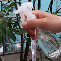 Japan ECHO Home Small Spray Bottle Fine Fog Gardening Spray Bottle Makeup Spray Bottle Transparent Plastic Press Spray Bottle