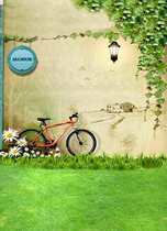 Childrens photography background cloth outdoor landscape grass green theme 100 days photo studio Baby Photo Background Paper 1348