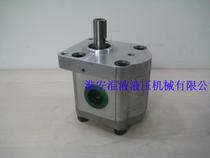 CBS-E308-CLP Two-way Gear Pump