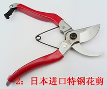 Prunes Cut Japan Imports Flower Shears Prunes Prunes Scissors Flowers Scissors Fruit Tree Scissors New Pint Listing And Sending Saws