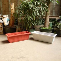 Crown recommended -ZX730 plastic flower slot-long tank flower pot-Horse trough basin-Vegetable Basin