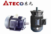 TECO Dongyuan three-phase asynchronous motor induction motor 0 18KW 380V 4-level vertical AEVF