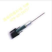24-core single-mode optical cable GYTS loose-jacketed armored outdoor two-four-core single-mode optical fiber cable