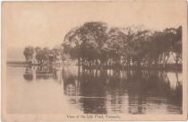 Old postcard Yunnan prefectural lotus pool (post commemorative ticket to send to Germany)