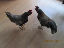 Simulation toy ornaments chicken pair