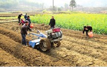 Trenching machine Ridge lifting machine (without walking tractor)