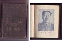 Old Diary (vision of the motherland)