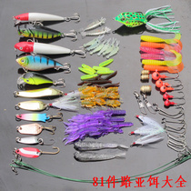 Luya bait Lure suit Freshwater bait Soft bait Minore frog wave pa VIB Rock sequin blackfish bait fishing gear