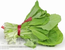 Cai Nongxing 783 four seasons cabbage](tender and delicious heat-resistant and cold-resistant)vegetable seeds
