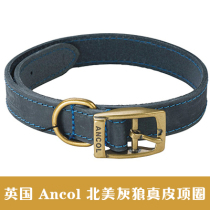 British ANCOL Anchol North American gray wolf leather ribbon collar pet dog collar dog collar dog cat collar