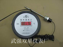 Digital display thermometer electronic thermometer LED plug-in electric 220V red word thermometer -50 - 200 ° C