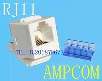 AMPCOM telephone module RJ11 module four-core voice module AMPCOM 4-core gold-plated