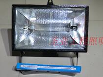 Led 50w100w iodine tungsten lamp holder 150w300w500w1000W meadow light outdoor waterproof lamp sunlamp