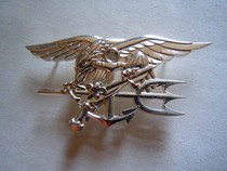 Special deal with outer single tail US Navy SEALs silver chest badge silver SEAL special forces big badge