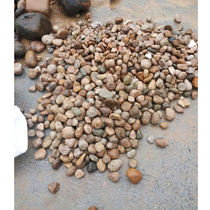 Small colored pebble fish tank landscaping stone flower pot gardening supplies aquarium courtyard rockery set Stone