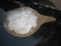 Shandong Folk Collection Artiste Engraving Hotel Cake House Pasta Eating Mold Wood Carving South Fruit Picture