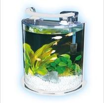 ADA yadia KM-300A arc aquarium semi-round small fish tank small glass ecological fish tank 33cm