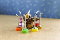 Cover Cola plastic bottle with water cover brother Gren eight thrush mercerized white head whiplash sink water tank water tank water dispenser