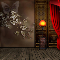 New plate womens square costume photo background Chinese style Chinese style photo studio wedding theme photography background