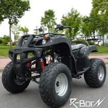 Super Mighty 10 Quad Bull Beach Car 125cc Iron Mailbox Libon Beach Cross Country Motorcycle