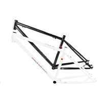 WINDSPEED PRO-2 chrome molybdenum steel white black bike frame