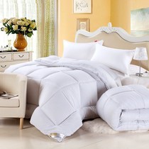 Loya Xuan Guesthouse Hotel Supplies Pure White Autumn Winter Quilt Core Home Dormitory Single Double Quilt Fiber Quilt