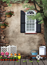 Street background wedding photography background cloth pictorial photo studio Digital background paper photo background large picture 3253