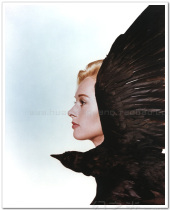 Bird Hitchcock movie poster original authorized art film decoration painting