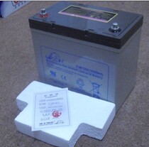 Factory low-cost direct sales LEOCH Leishi DJM1255 12V55AH DC screen electric cabinet UPS power supply battery