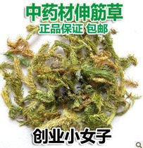 Chinese Herbal Medicine Shu Gluten Grass Stretching and Grass Skeletal Grass Stone Pine Lions Grass Batch 500g Fat