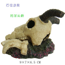 Special clearance of various landscaping antelope skull skull skull fossil fish tank landscaping MB169-5