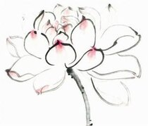 Custom-made link SF postage compensation link Order difference Universal link 