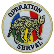 French peacekeeping force Land Warrior Chapter (Color)