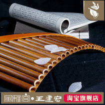 Fengya Palace Wang Jianhong Fengyi Ya music professional pan flute professional performance learning with box