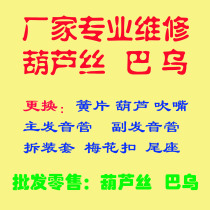 Professional Maintenance Hulusi Bau Swap Reed Gourd Blow Mouth Main Sound Tube Vice Soundtube Plum Blossom Snap Fastener