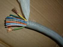 16 Imported cable Japanese TEIKOKU 26 core 0 75 square control line motor power cord cord