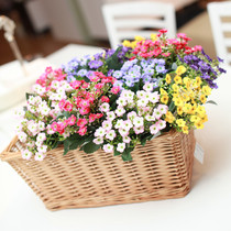  Eurostyle Countryside Small Milan Fake Flower Emulation Flower Decoration Flower Parlor Dining Room Table Placement Flowers 6 Color