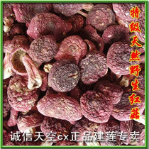 Super wild red mushroom edible mushroom 100g Fujian Wuyishan Shaowu specialty dry goods mainland China