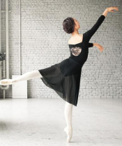 Ballet skirt adult chiffon practice dress