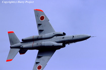 Spot] 1:160 food play model Japan Air Self Defense Force T-4 intermediate trainer Self Defense Force painting