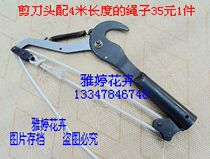 Northeast Linzi Wang D Double Pulley Knuckle Force Type Pruning Sheen Cut High Branch Cut High Altitude Scissors Head Aerial Work Scissors