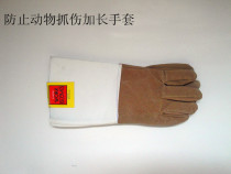 To prevent animal scratches the extended gloves are suitable for the use of cat-catching cages.