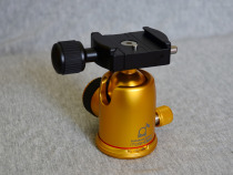 South Korea PHOTO CLAM futocrone PC30NSG table local tyrant gold